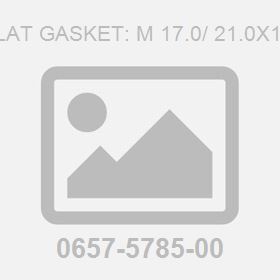 Flat Gasket: M 17.0/ 21.0X1.5